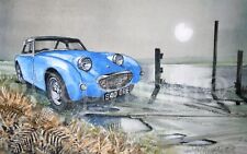 Austin Healey Frog Eye Sprite 1950's  British Car Metal Art Work Mancave Garage