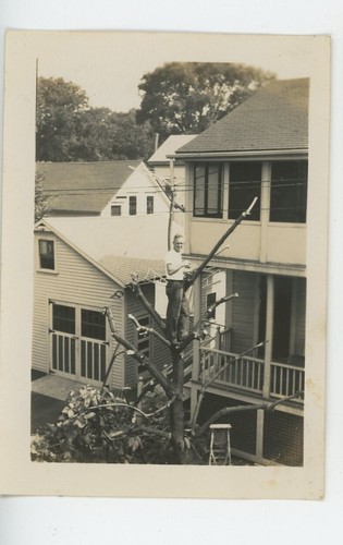 Vintage photo dad catalpa - photo,