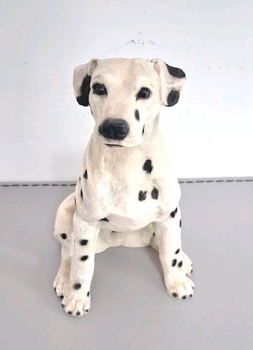 Castagna italy dalmatian dog - italy,
