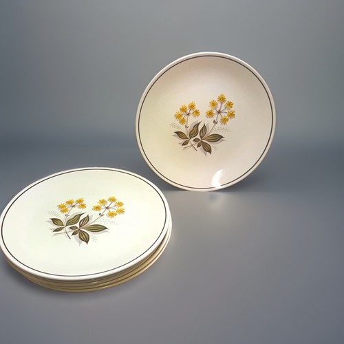 Vintage burleigh ware - vintage, floral