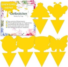 60 PCS Fruit Fly Traps