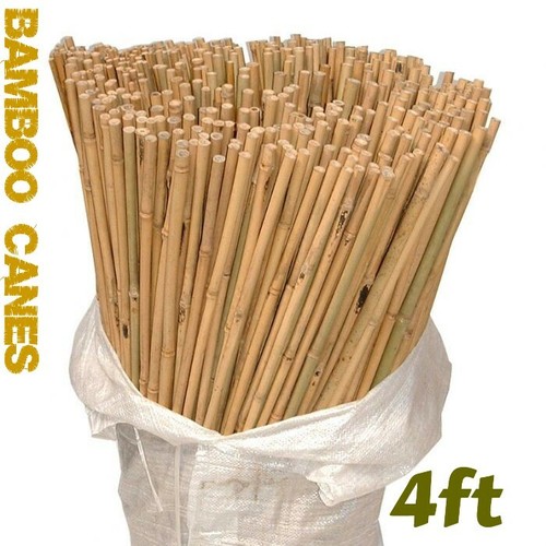 4ft bamboo canes wooden plant - bamboo,