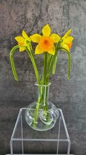 3 Beautiful Handmade Fine Glass Daffodil Flowers in Glass Vase, Unique Gift Idea