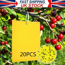 20Pcs Yellow Sticky Fly Trap