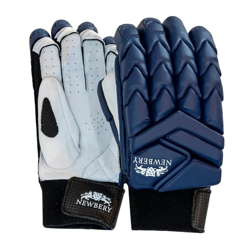 2026 newbery cricket player - newbery,