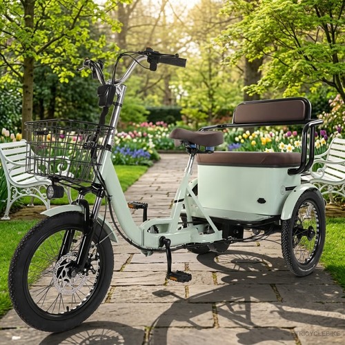 Senior electric tricycle - electric,