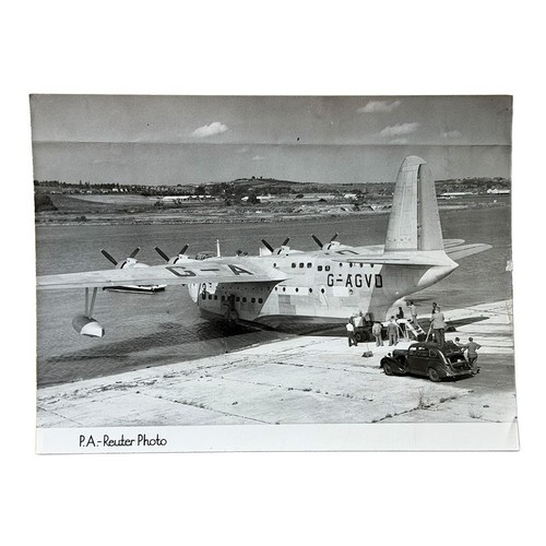 Press photo short shetland - press,