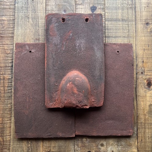 Bat access clay roof tiles - bat,