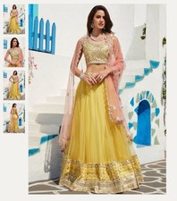 Embroidered Net Lehenga - XXS