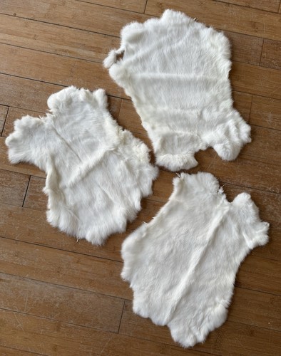 English rabbit fur white - english,