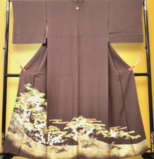 Japan Irotomesode Kimono Silk