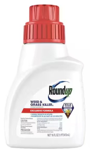 Roundup weed grass killer - weed/grass,