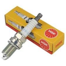 Hayter Harrier 56 spark plug