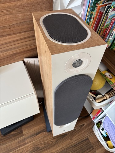 Focal chora 826d - chora,