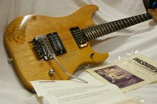 Washburn N4E-SANM Used