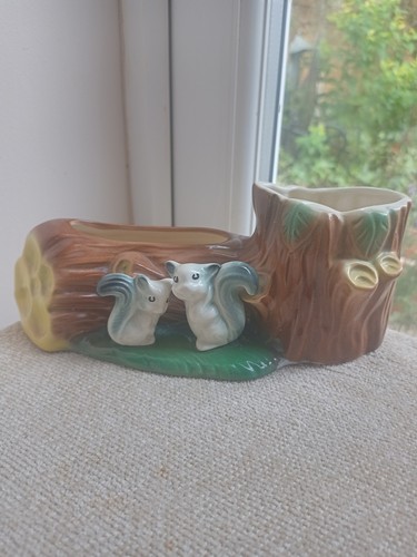 Hornsea fauna squirrels tree - squirrels,