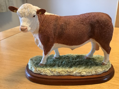 Border fine arts hereford bull - fine,