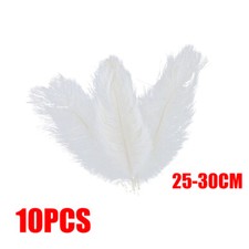 10PCS 25-40cm Large Ostrich