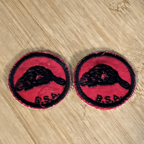 Vintage beaver patrol boy - vintage,
