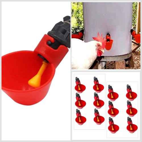12x chicken poultry drinker - 12x,