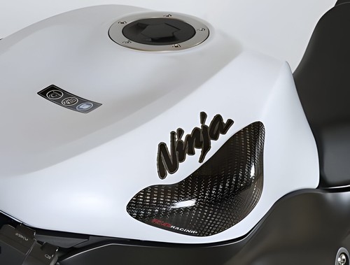 Carbon tank protectors - r&g, for