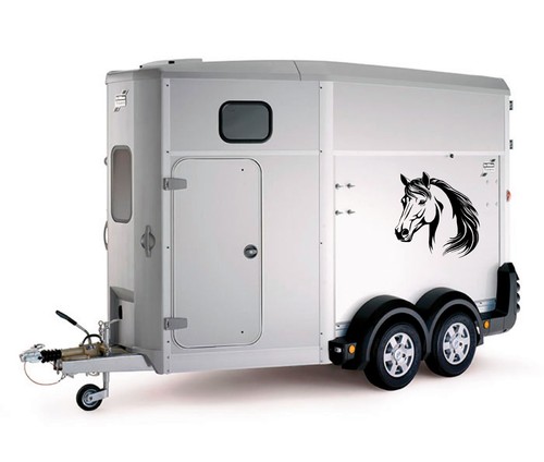 Horse head car trailer box - horse,