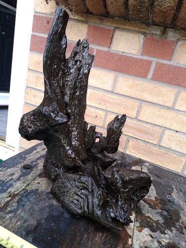Large bog wood - large,