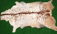 Luxury Goat hide Rug Hair on