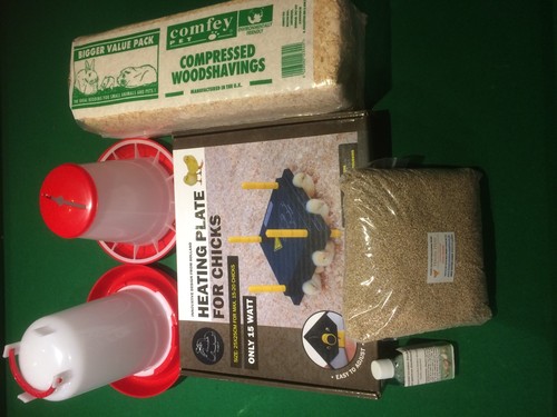 Comfort chick brooder heat - chick,
