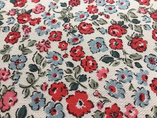 50cm 25cm wide cath - 25cm,