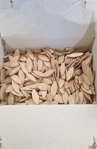 Trend size beech effect - size, 10