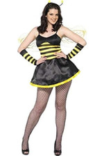 Ladies Honey Bee Costume