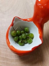 Hierba Mora - Solanum macrotonum 10+ Seeds - Seeds So 095