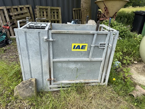 Iae sheep docking - sheep,