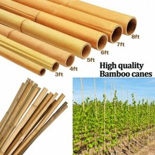 2FT 3FT 4FT 5FT 6FT 7FT Bamboo