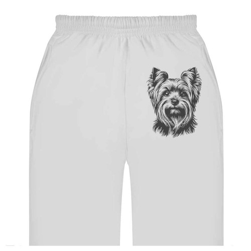 Yorkshire terrier adult - terrier',