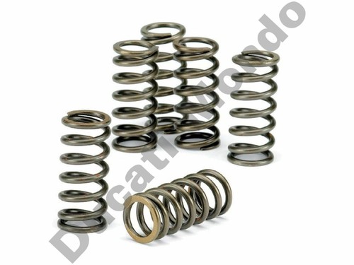 Ebc clutch spring kit - clutch, aprilia