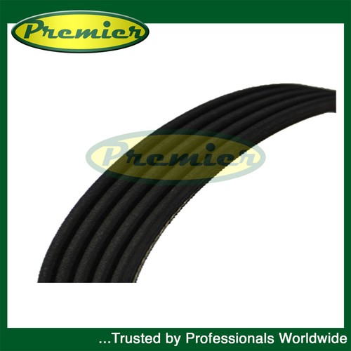 Premier ribbed drive belt - drive,