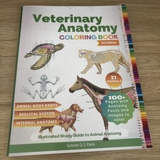 Veterinary Anatomy Coloring