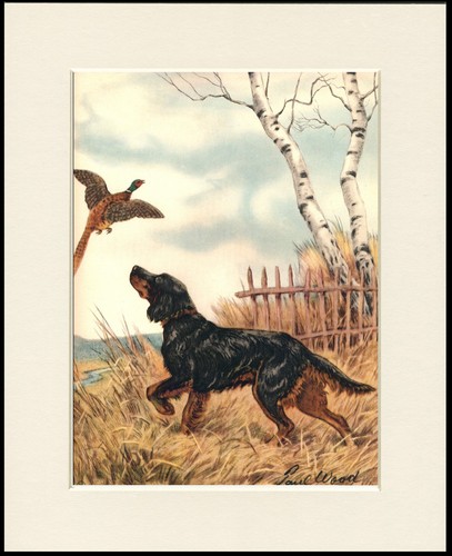 Gordon setter dog art - gordon, print