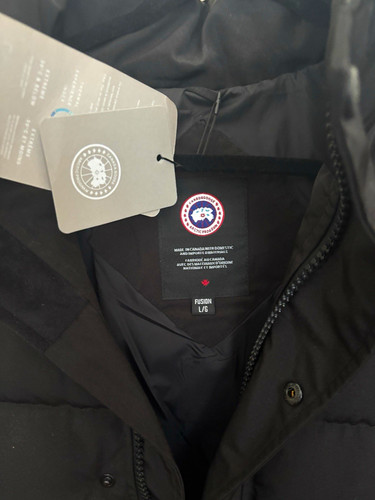 Canada goose arctic program - goose,