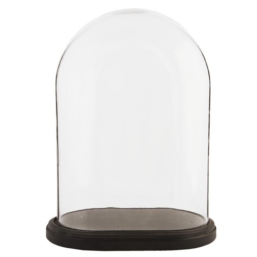 Glass display bell - bell, jar