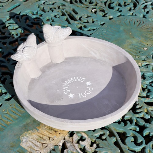 Swimming pool bird - swimming,