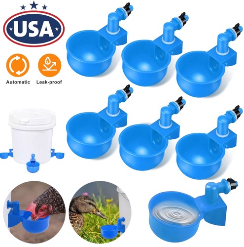 12x chicken automatic - chicken,