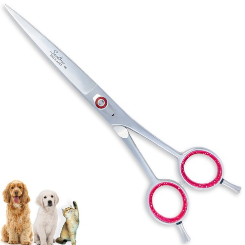 Pro dog cat pet hairdressing - pet,