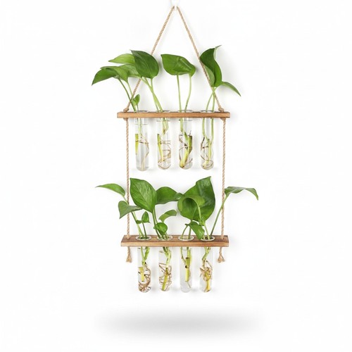 Propagation station plant - station,