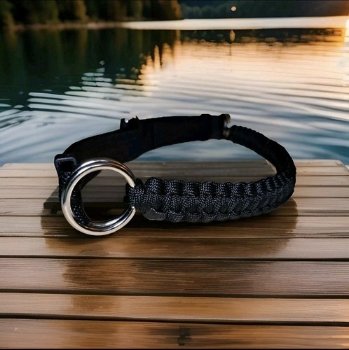Bitless bridle attachment - , in