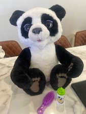 Fur real Plum the curious