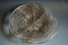 RENE LALIQUE PISSENLIT GLASS PLATE  - CIRCA 1924