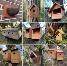 Bird Nest Box Wood Wooden